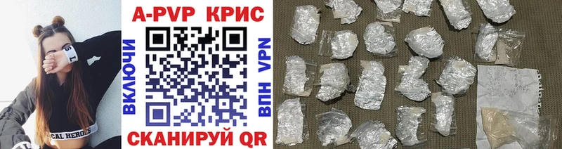 A-PVP СК  закладка  Гусев 