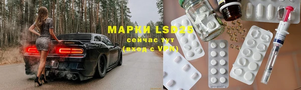шишки Гусев