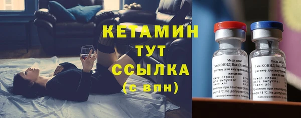 шишки Гусев