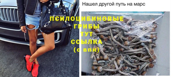 jwh Снежногорск