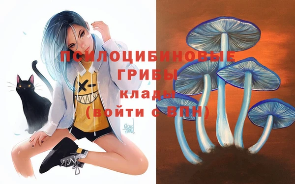шишки Гусев