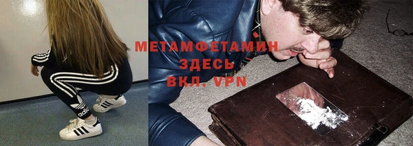 шишки Гусев