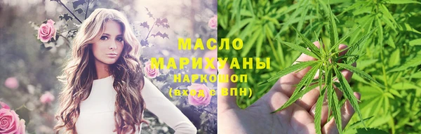 дмт Дмитриев