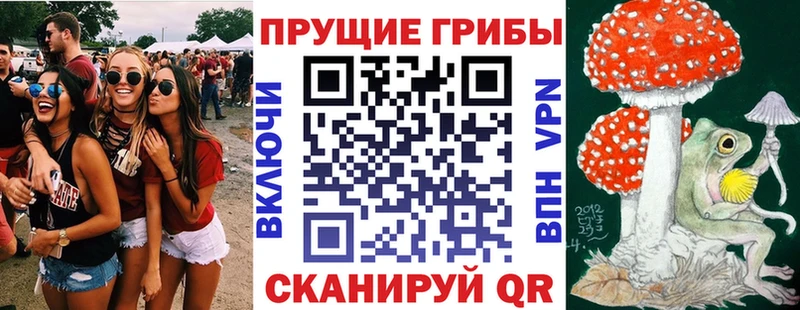 Псилоцибиновые грибы MAGIC MUSHROOMS  это официальный сайт  Гусев 