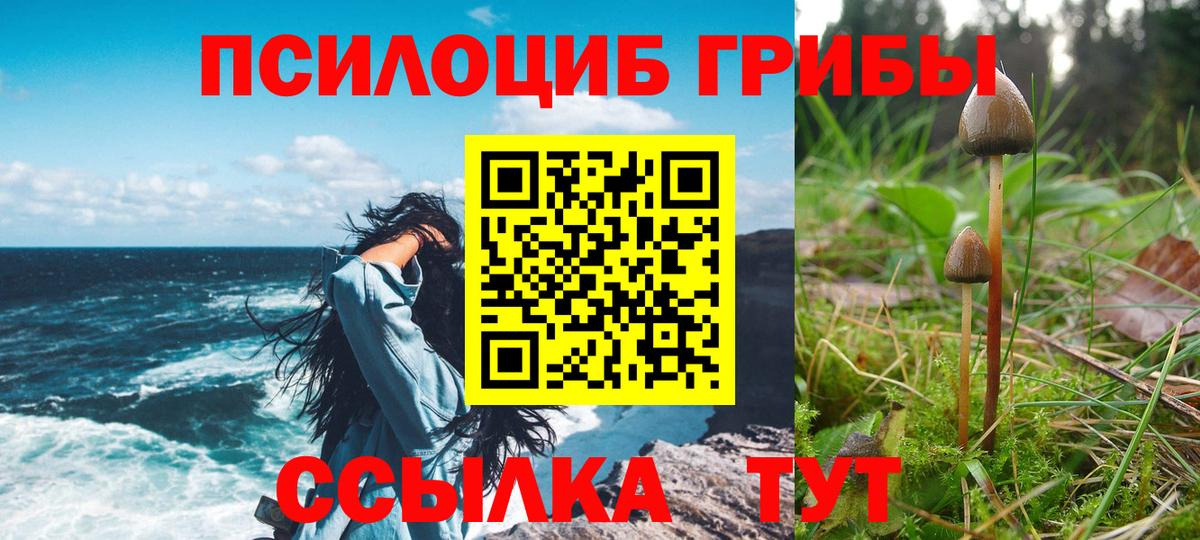 Галлюциногенные грибы Magic Shrooms Гусев