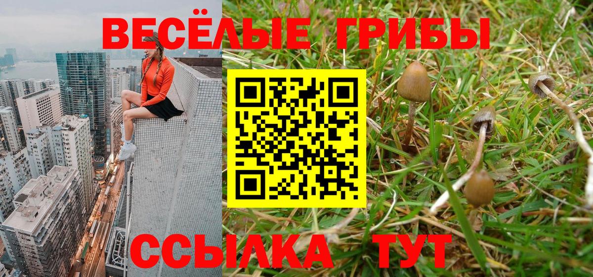 магазин    Галлюциногенные грибы мицелий  Гусев  Вход с VPN  Псилоцибиновые грибы мицелий 